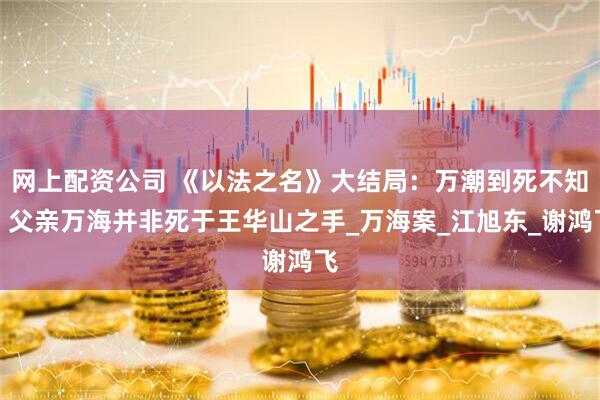 网上配资公司 《以法之名》大结局：万潮到死不知，父亲万海并非死于王华山之手_万海案_江旭东_谢鸿飞