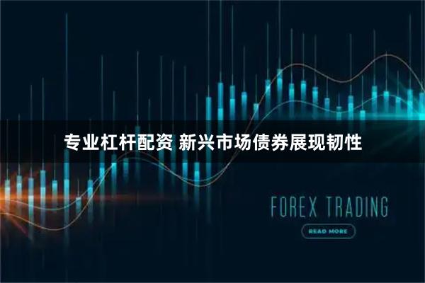 专业杠杆配资 新兴市场债券展现韧性